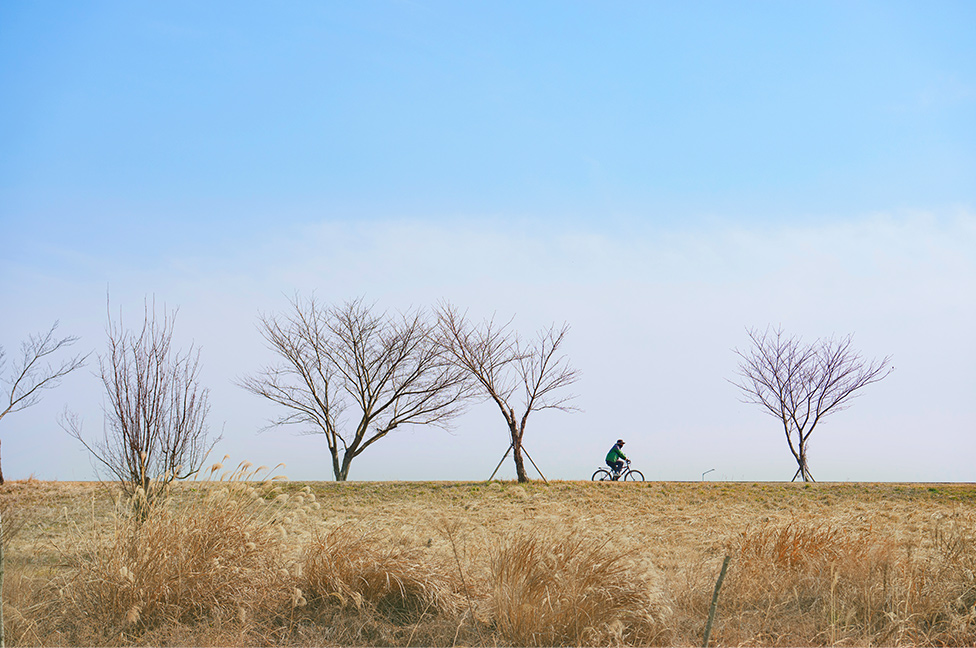 자전거 타고 쌩쌩 달려 봄, 김해!