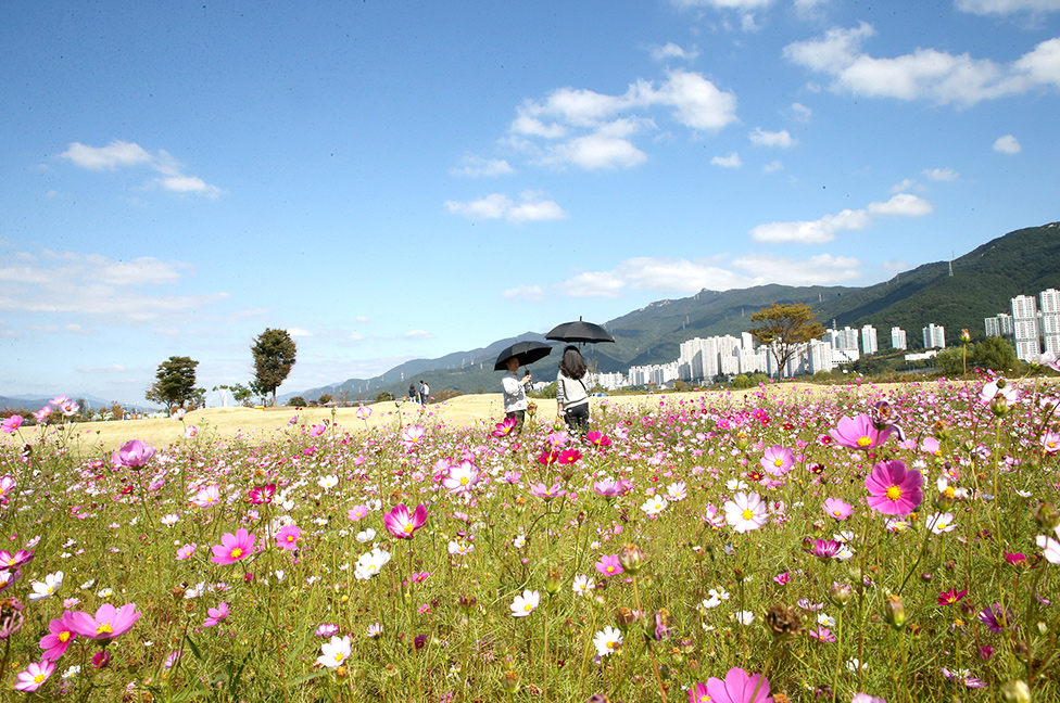 시월의 어느 멋진 날, 꽃과 사랑에 빠지다.