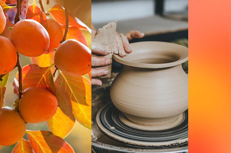 11월 김해, 축제로 물들다